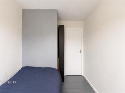 Picture 12